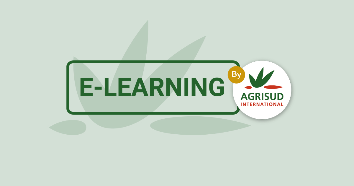 Le E-learning by Agrisud : deux nouveaux témoignages issus du monde académique
