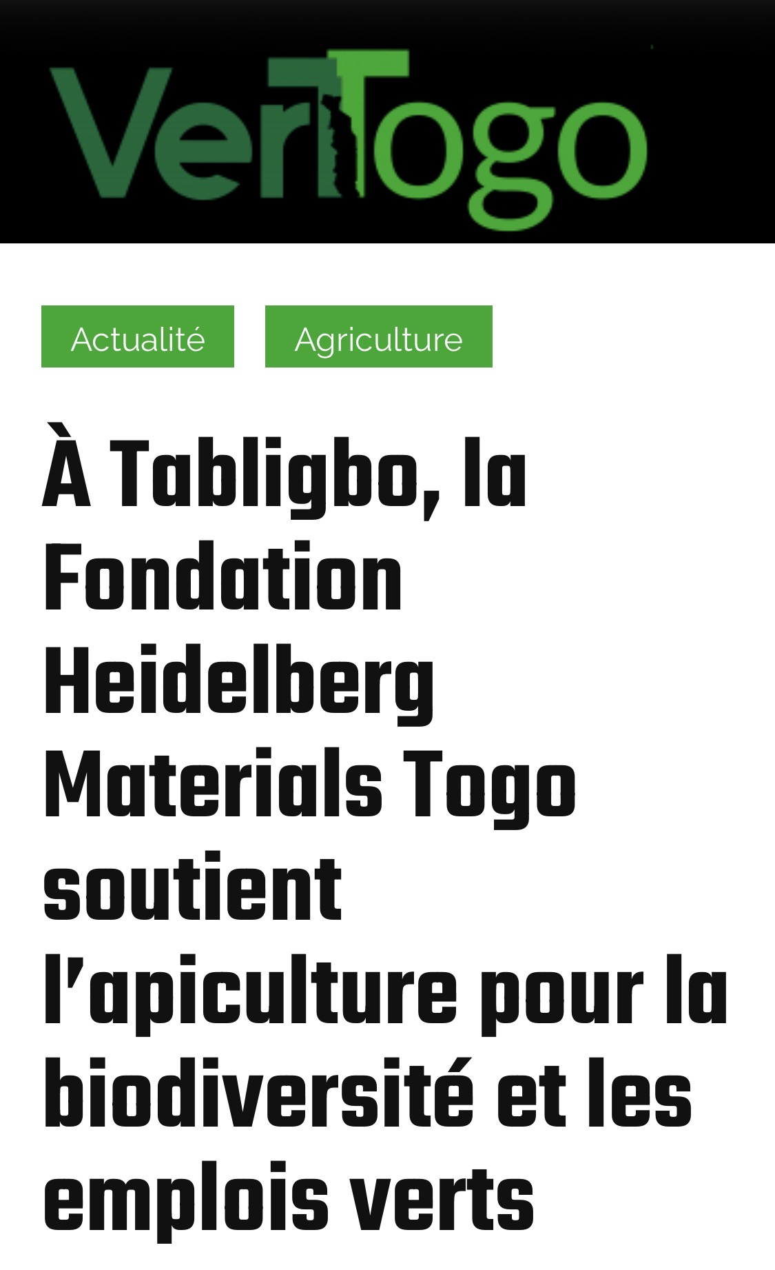 À Tabligbo, la Fondation Heidelberg Materials Togo soutient l’apiculture pour la biodiversité et les emplois verts